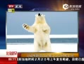 硷 ֤ʵָ