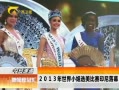 ҹܻ㡷 2013СѡӡĻ