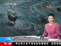 ֱ䡷 ½綬ת תר