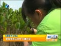 簲 ̺̲̬