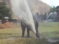 ʵ̩ȪϷˮ ٲȻСͯ