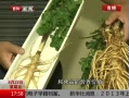 ߷塷 ףʱڽʶ