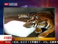 硷 ϻ˱