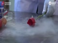 Һķʵ飺õ廨