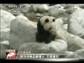 š Ѱ Ұè伯