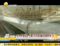 һʱ 20131028 2014괺 յֻԿѳ