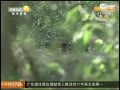 ʵʮԱصϿ 뺰ں