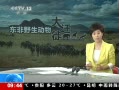 ֱ䡷 ҰǨ Ǩ㶯̬ ͷӼƶ