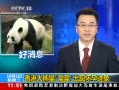 ֱ䡷 ۴èӯӯֻм