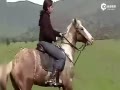 Ƶ-Ůʩչ ʮѱ