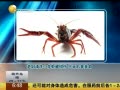 һʱ 20140523 ϸϴСϺǯ ɥ
