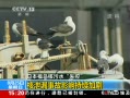 ֱ䡷 ˮй©¹ӰӾ