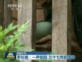  20130815