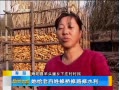 籨 Ů
