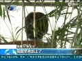 ΢żӵϰ塱 ޽ıƭ190