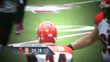 Ƶ-NFL ʮҰ޼