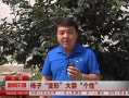 籨 ӱδˣ