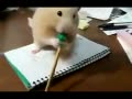 ЦȲǦ