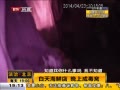α 캣ʵ ϳɶ