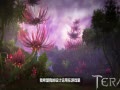 νָˡTERA ޳ͼױ
