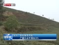 CQTVš 迪ɲȥ20%