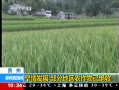 ֱ䡷 鷢չ ֵũѾ