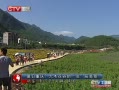 CQTVš 죺ľȵ