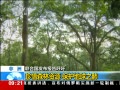 ֱ䡷  ϡɭԴ ֮