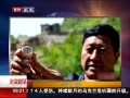 硷 