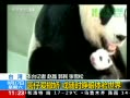 ֱ䡷 Բа ʱ