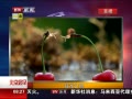 硷 ֮