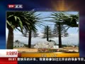 硷 αװ