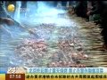 һʱ 20140502 ֹ¶տֹ