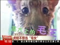 ֱ䡷 椲뵱լŮ