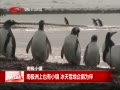 ˵¡ ϼҲС ѩΪ