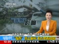 ֱ䡷 ֹͣ Ϸ