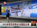  2013绨ܾ