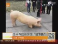 Ժǰ¹