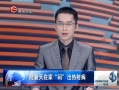 ȫλ ڼƳ䲡