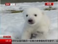 ߷塷 ô󱱼ܱѩ