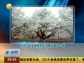 һʱ 20140422 500ֱ40