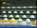 š ǰ½ڶ