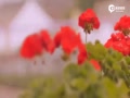 Ƶ-Ļ2015ӢʼƬ