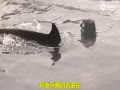 Ƶ뺣 