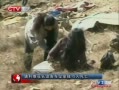 CQTVš άǳ;ͳ׹15