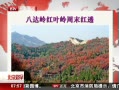 硷 ˴Ҷĩ͸