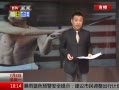 ߷塷 Ƣ