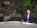 ֱ䡷 ۽ʳȫ 2ũ ˭ֵ