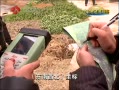 ʱա ȷȨũչ»