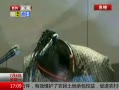 ߷塷 Ȼο޹ϱ